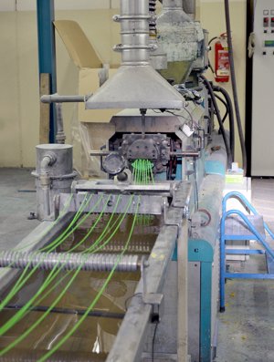 L'Azienda